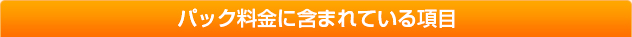 パック料金に含まれている項目